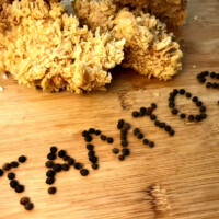 مرع سرخ شده با آرد کنتاکی تام توس - ارسالی مشتری مرع سرخ شده با آرد کنتاکی تام توس - ارسالی مشتری